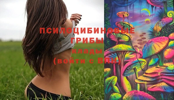 крисы Вязьма