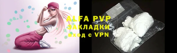 PSILOCYBIN Карабаш